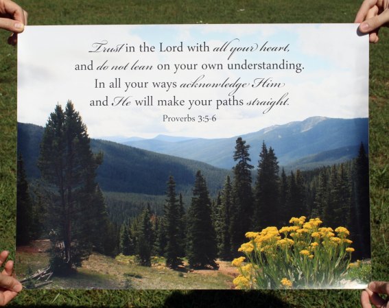 il_fullxfull-822659440_cuup