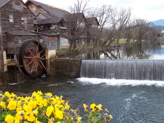 just-down-the-road-from