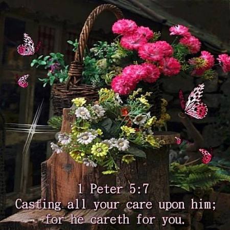 12928189_1263595020378851_3912414327296982763_n