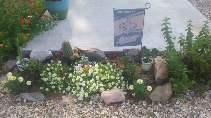 20160529_081511-medium