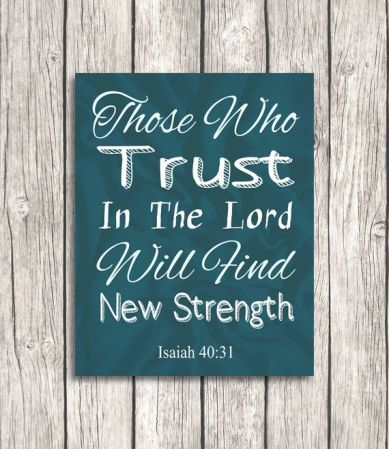 afcad49cc5ec3f8956378060a92ddff4