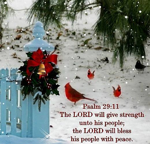 15253657_1508487845889566_6259380194517477223_n