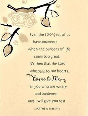 13015693_10154139309414939_5316847388900755510_n