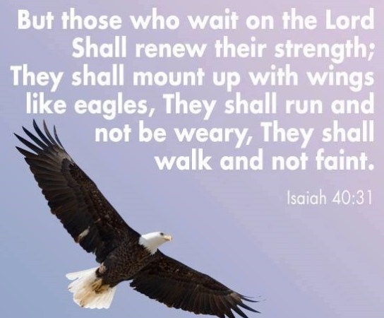 isaiah-40-31-needs-cropping