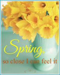 16730168_586979701505030_7289347170247877429_n