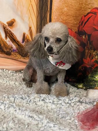 This image has an empty alt attribute; its file name is 319821355_511781110917215_4033456121896929403_n-1.jpg